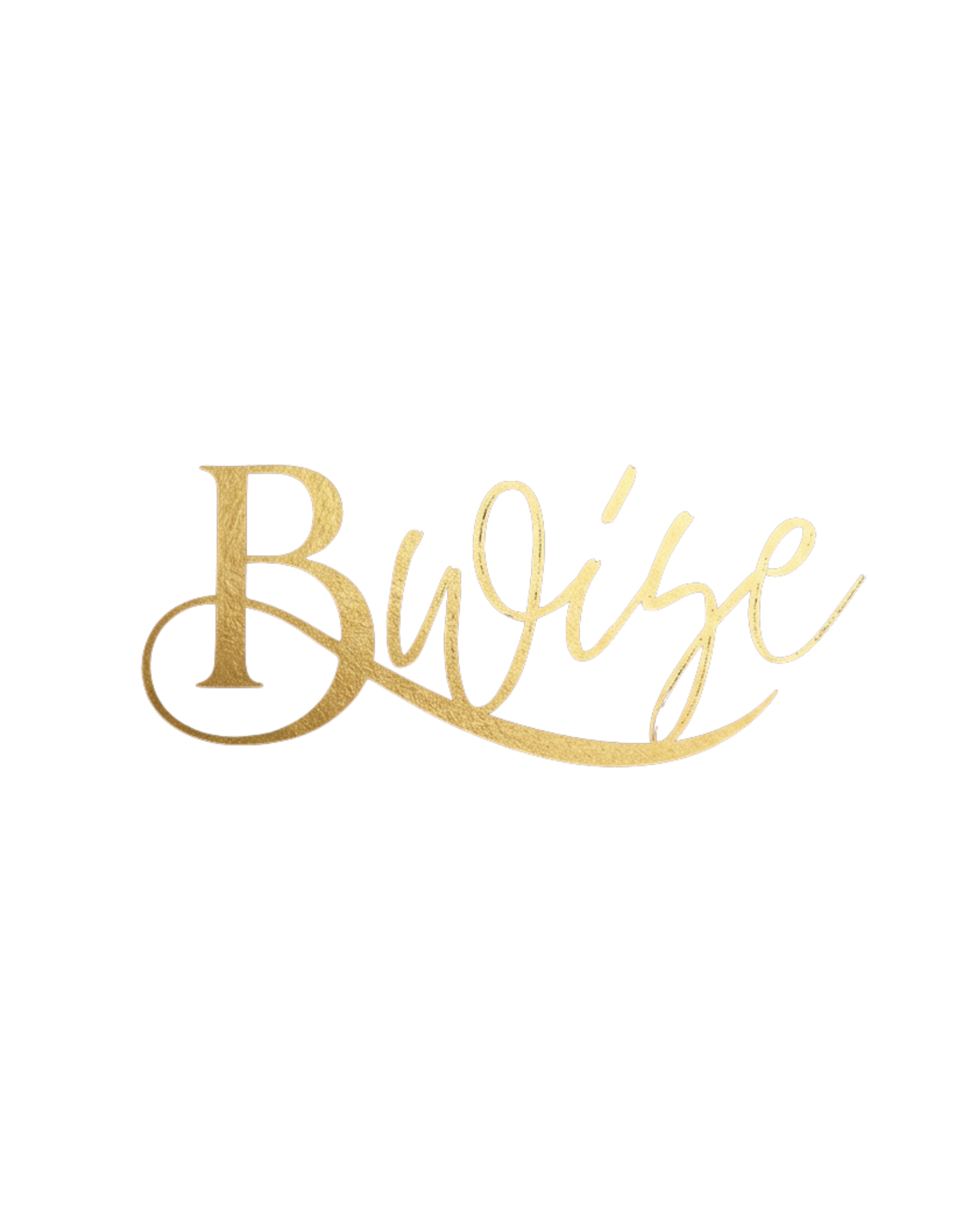 BWISE Logo