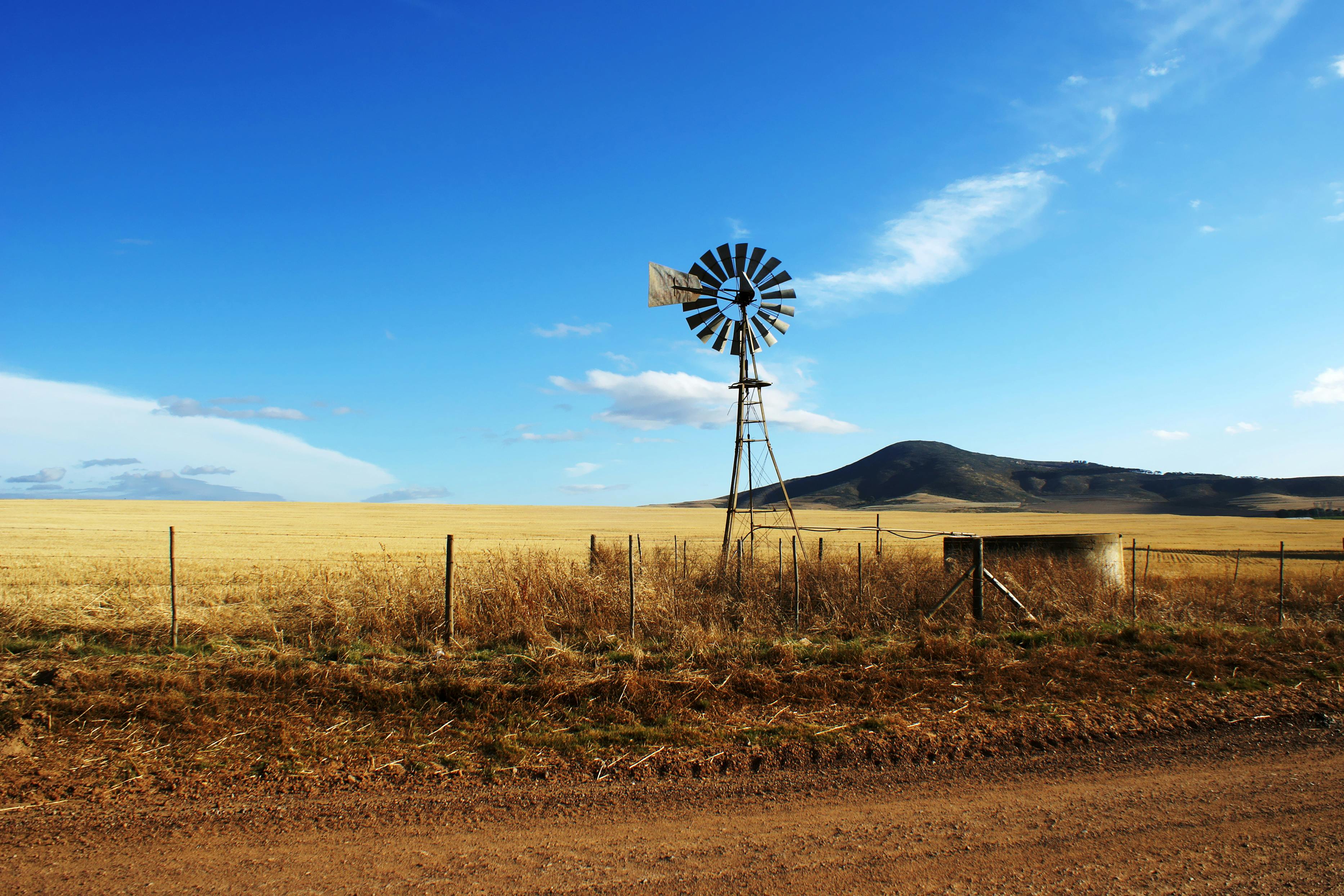 Africa Connect Safari Tours